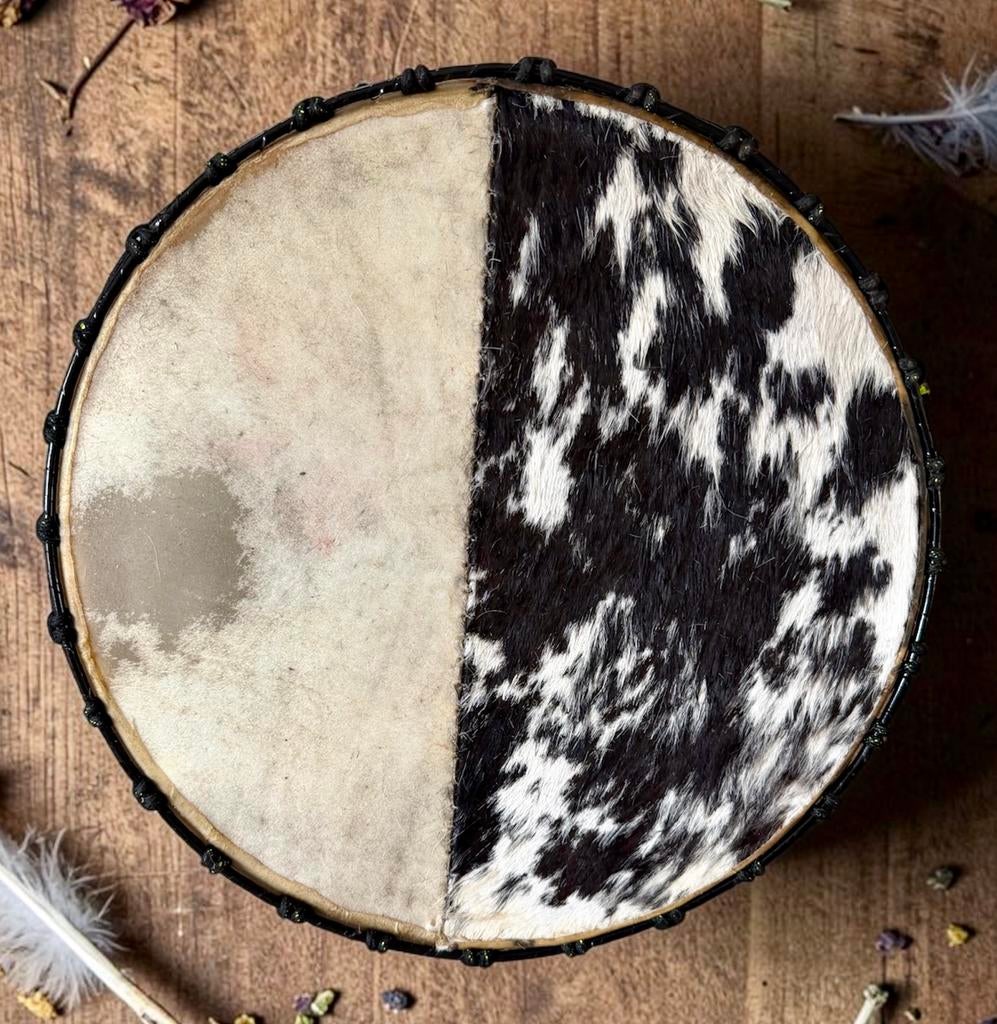 2 Spirit Sjamanendrum Paard/Nubische Geit 42 cm, Muziek en Instrumenten, Percussie, Ophalen of Verzenden, Nieuw, Trommel