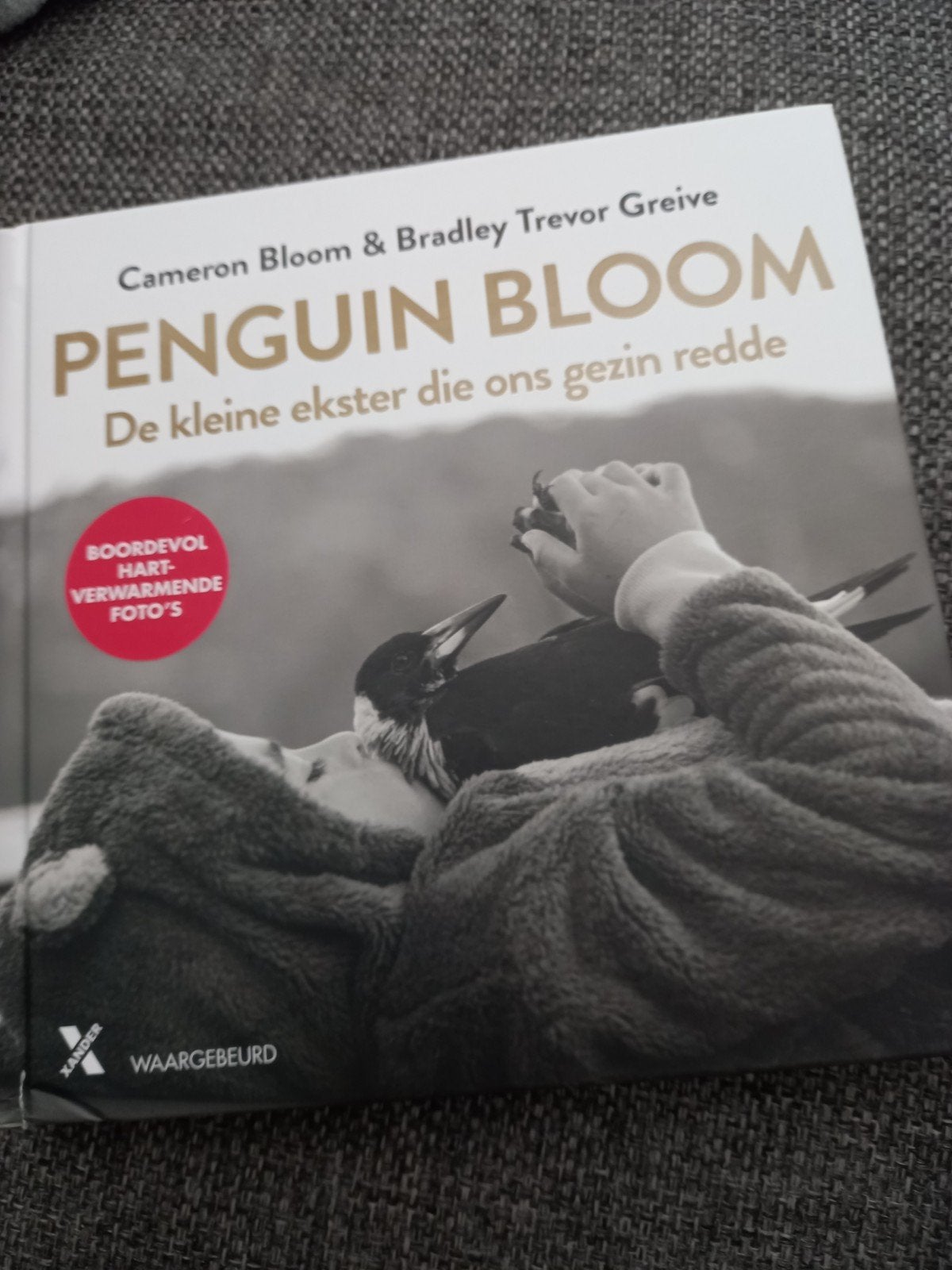 Cameron Bloom - Penguin bloom, Ophalen of Verzenden, Zo goed als nieuw, Cameron Bloom; Bradley Trevor Greive