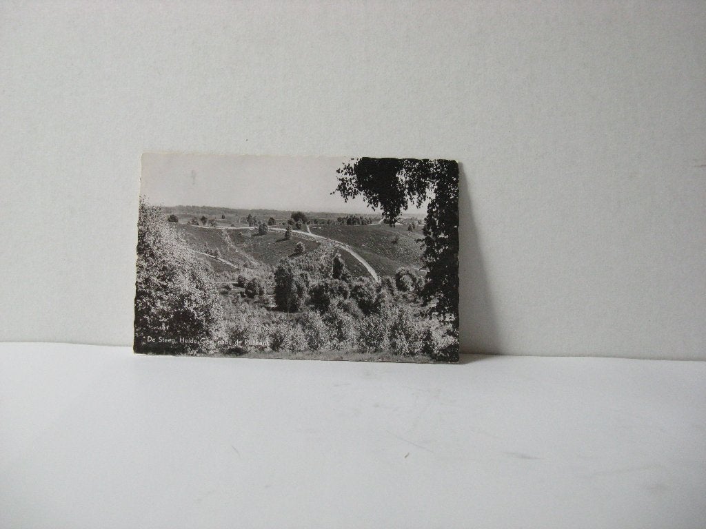 De Steeg Heide nabij de Postbank, Ophalen of Verzenden, Voor 1920, Gelopen, Noord-Brabant