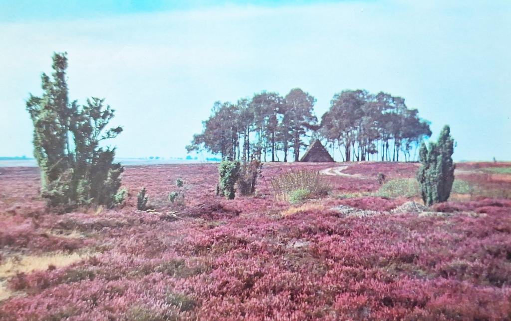 Fotokaart Ommen, Ophalen of Verzenden, Gelopen, Overijssel