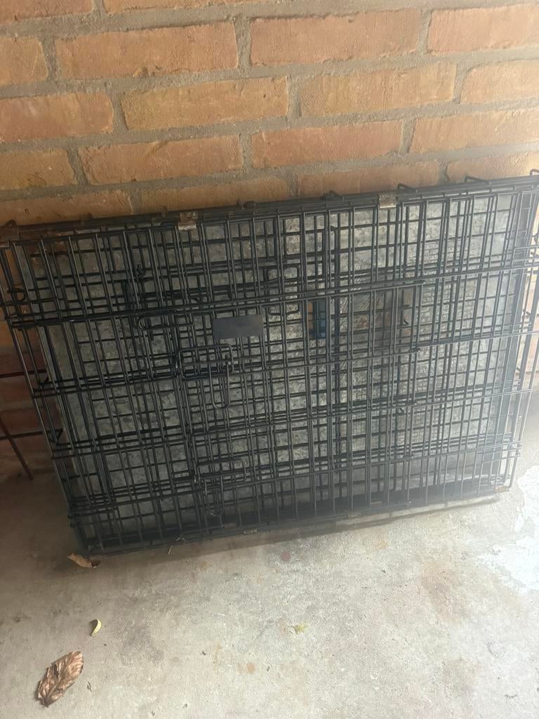 Honden bench, Ophalen of Verzenden, Zo goed als nieuw, Minder dan 75 cm, Minder dan 65 cm