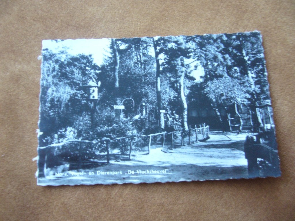 NORG  =  VOGEL EN DIERENPARK DE VLUCHTHEUVEL, Verzenden, 1960 tot 1980, Gelopen, Noord-Holland