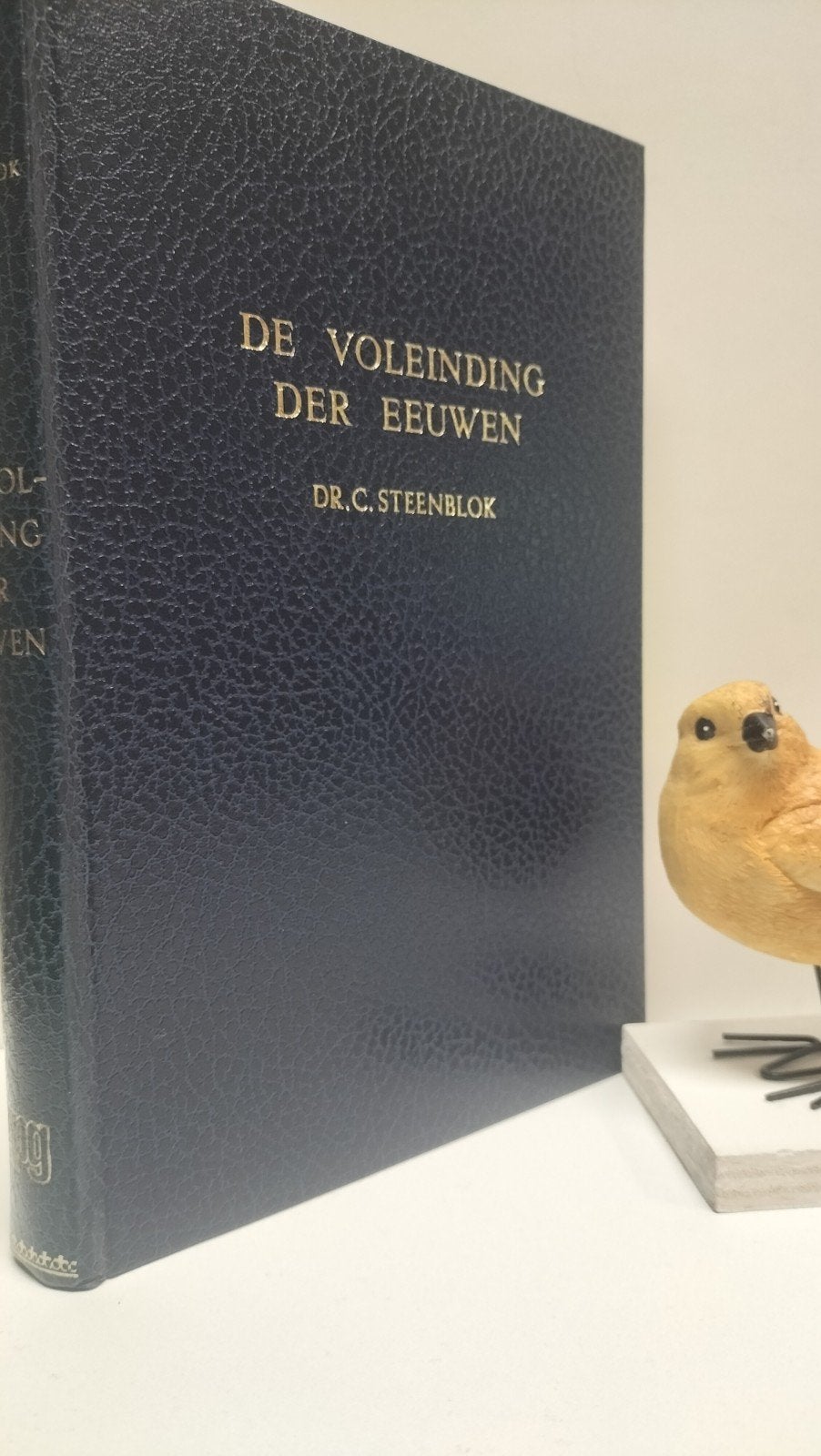 Steenblok, Dr. C.; De voleinding der eeuwen, Boeken, Ophalen of Verzenden, Gelezen, Christendom | Protestants