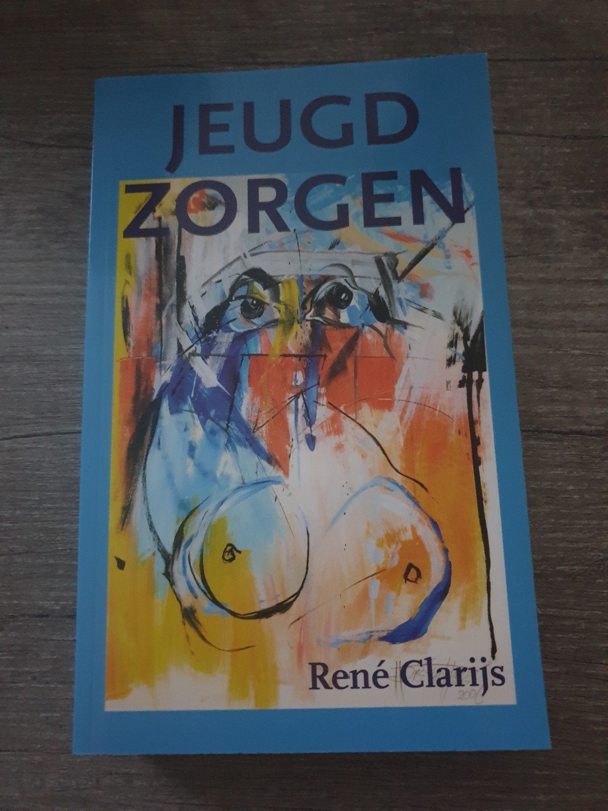 Jeugdzorgen - René Clarijs (Boek), Ophalen of Verzenden, Gelezen, René Clarijs