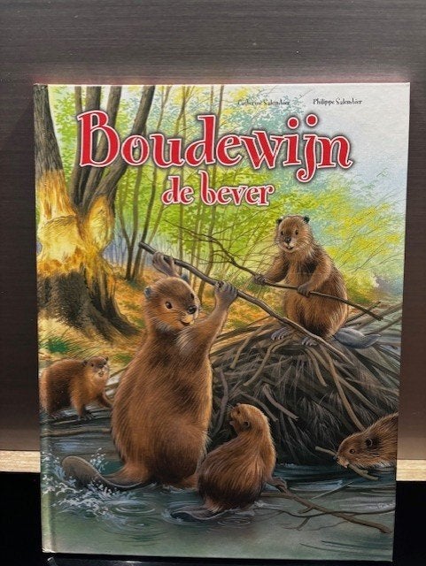 Boudewijn de bever (advr 162), Ophalen of Verzenden, Zo goed als nieuw, Fictie algemeen