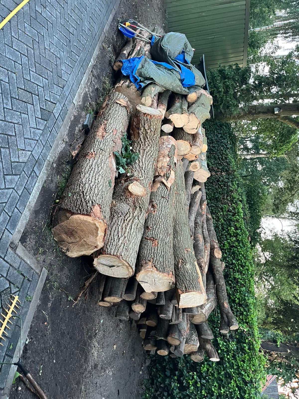 Stamhout eiken beuken, Ophalen of Verzenden, Zo goed als nieuw, 250 cm of meer, Planken