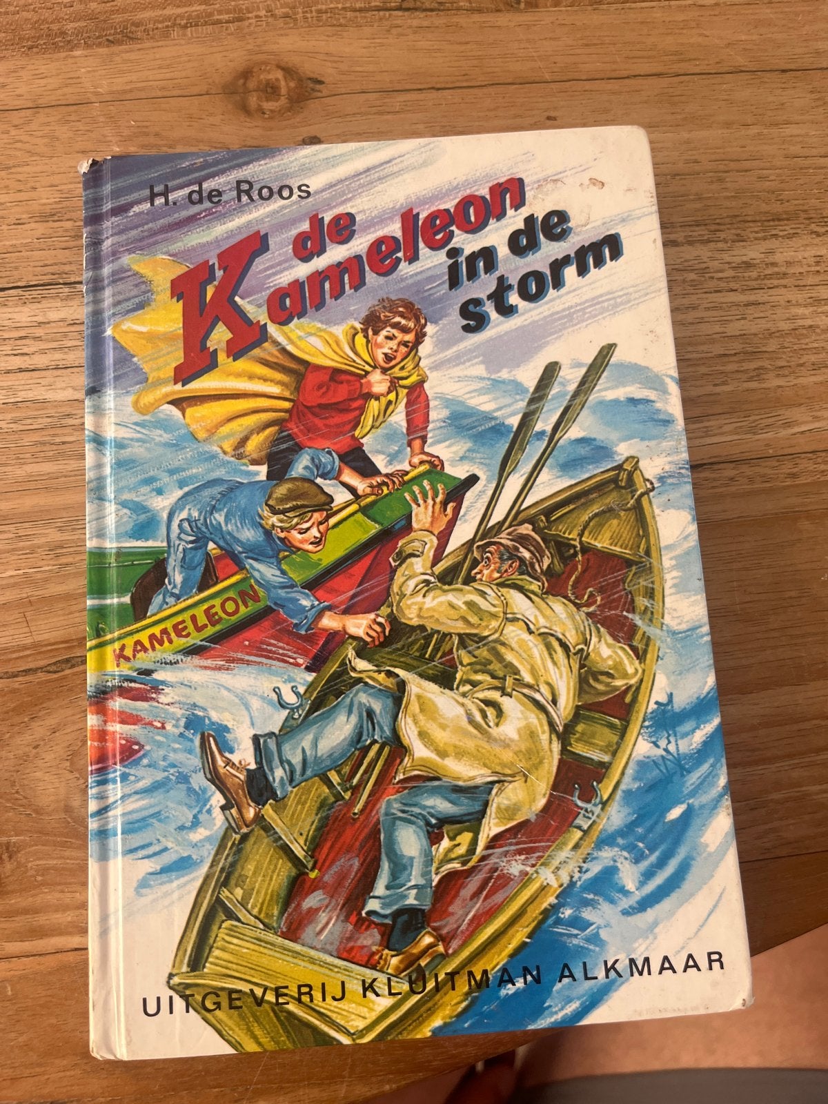 De Kameleon in de Storm - H. de Roos, Ophalen of Verzenden, Gelezen, Fictie algemeen