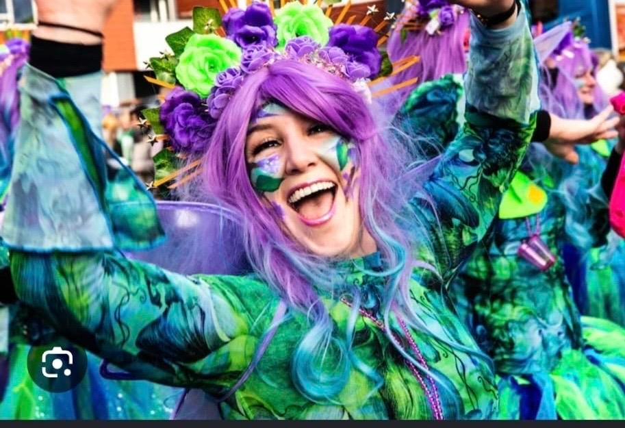 Carnavalskostuums Loopgroep Raad van Elfjes - 24 stuks, Kleding | Dames, Carnavalskleding en Feestkleding, Zo goed als nieuw, Kleding