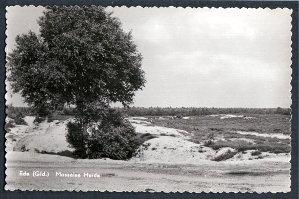 Ede (Gld.), Mosselse Heide., Ophalen of Verzenden, 1960 tot 1980, Gelopen, Gelderland