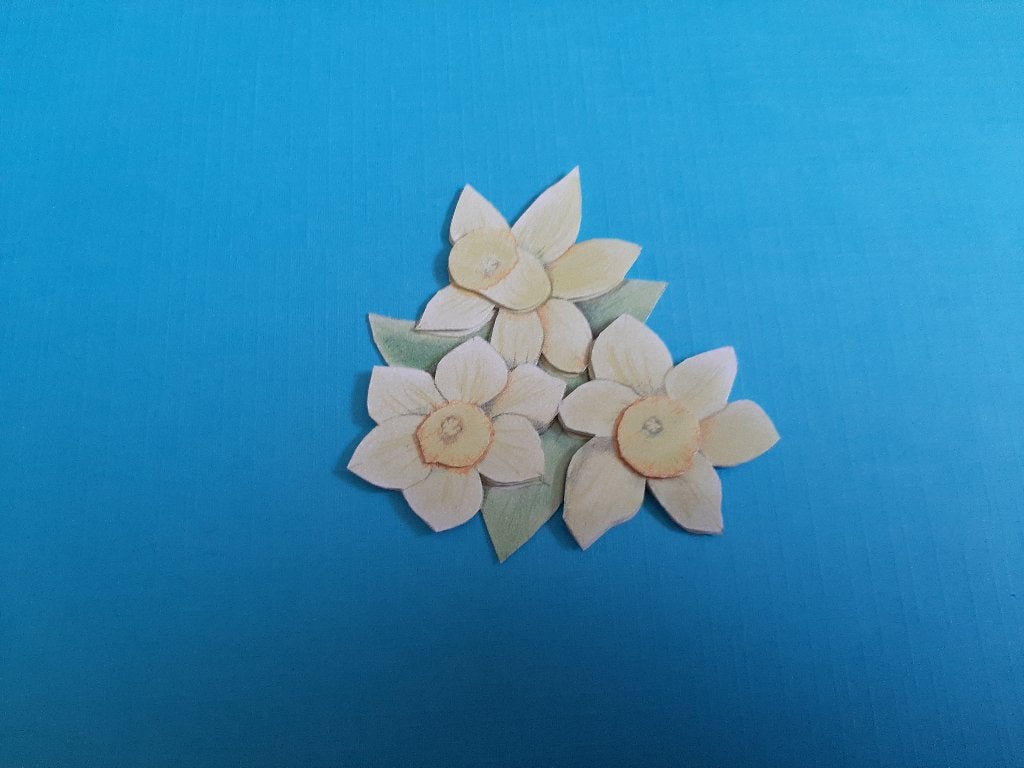 j055 Bloemen, Verzenden, Nieuw, Natuur, Overige typen