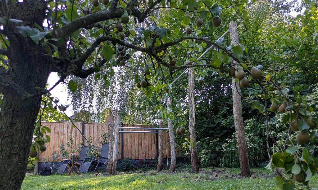Natuurlijke pull up bar in je eigen achtertuin, Ophalen, Nieuw, Armen, Oprekstang
