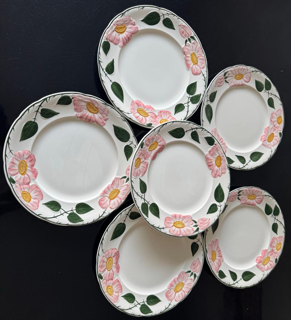 Villeroy & Boch Wild Rose borden 21 cm - 6 stuks, Ophalen of Verzenden, Zo goed als nieuw, Bord(en), Overige stijlen