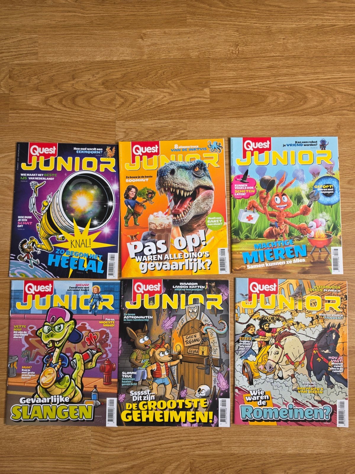 Quest Junior tijdschriften - Nieuw 6 stuk, Boeken, Ophalen of Verzenden, Nieuw, Wetenschap en Natuur