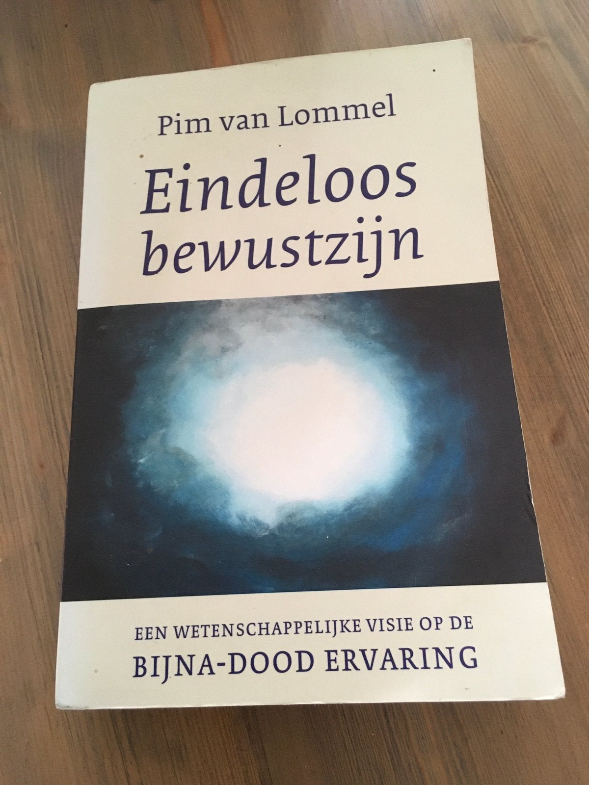 Eindeloos bewustzijn, Pim vanLommel, Ophalen of Verzenden, Gelezen