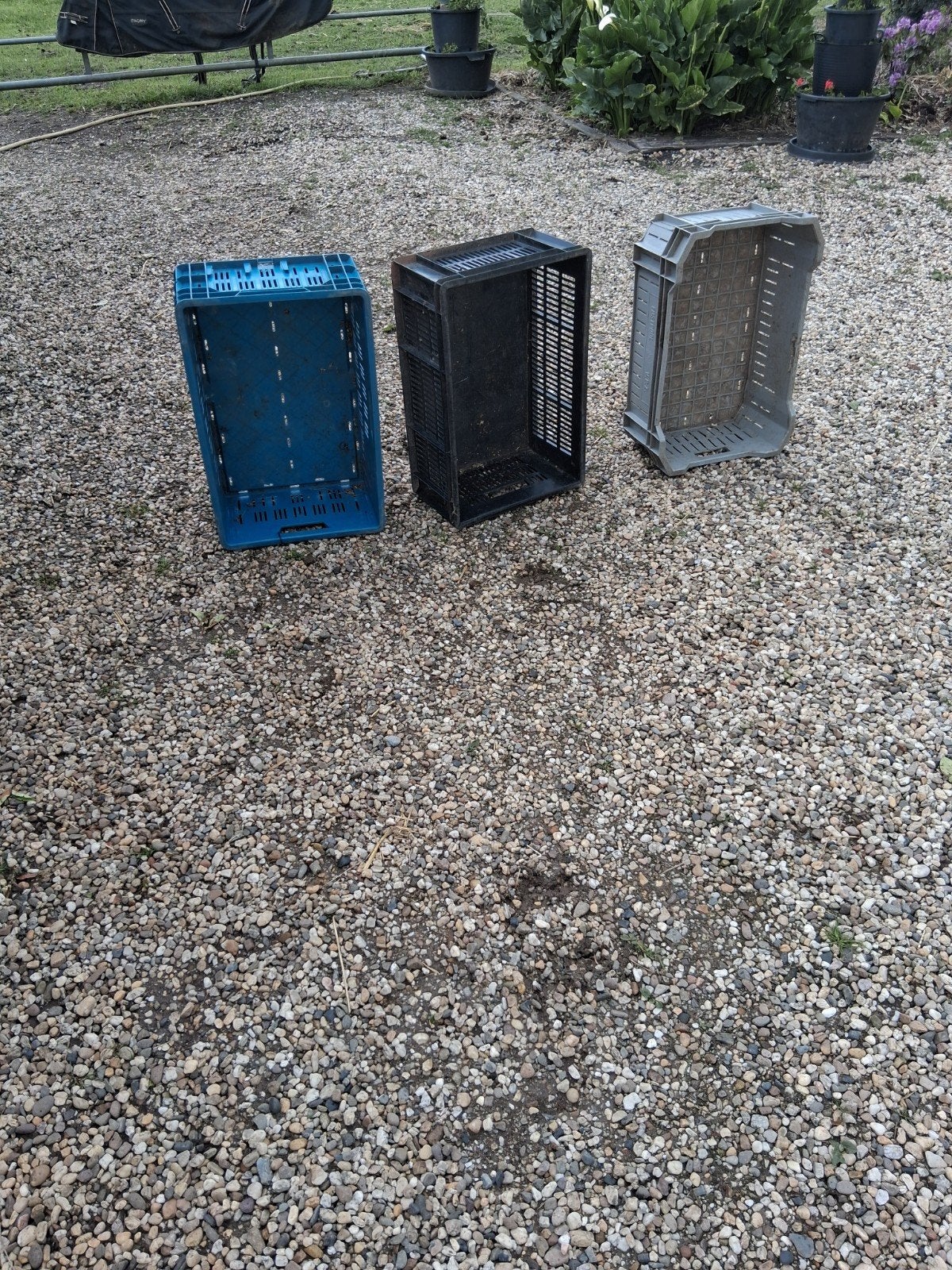 Gebruikten kisten en kratten, Ophalen, Overige soorten, Halfschaduw