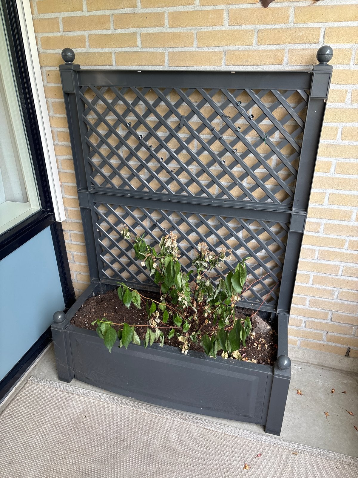 Gratis plantenbak met rek, Ophalen, Kunststof, Gebruikt, Balkon