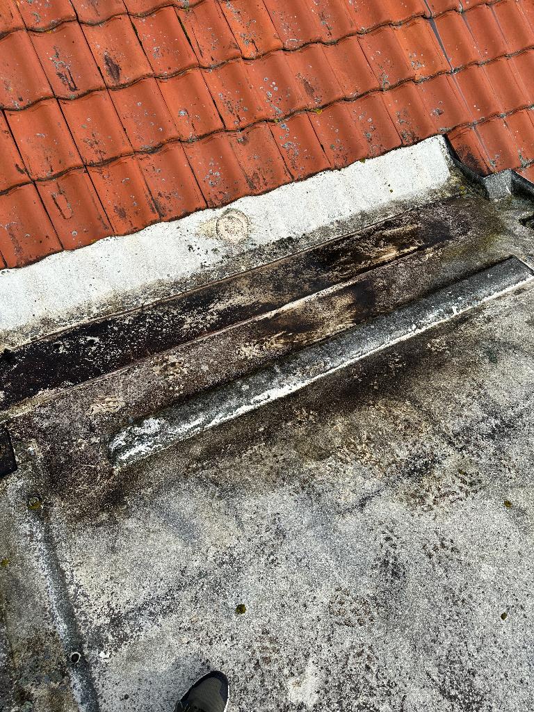 Kunststof Dakkapel Reparatie, Egaliseren Bekleden & Coaten, 24-uursservice, Overige dakdekking