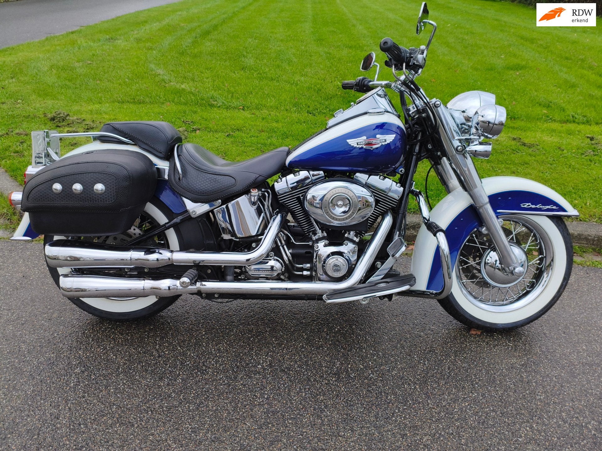 Harley Davidson Chopper 96 FLSTN Softail Deluxe org NL 5hd, Motoren, Chopper, Meer dan 35 kW, Handgeschakeld, 1584 cc