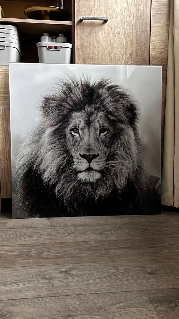Schilderij glas van een leeuw, Ophalen, Zo goed als nieuw, Schilderij, 75 tot 100 cm