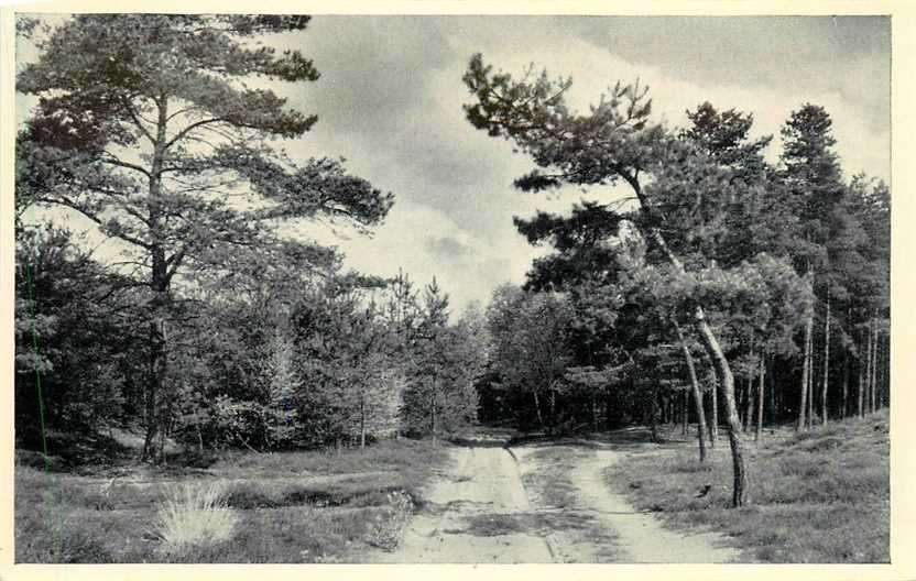 380-088-029 Lutterzand, Verzenden, Voor 1920, Overijssel