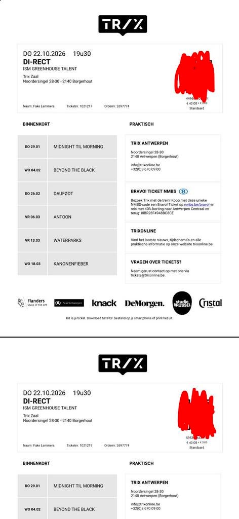 Te koop Tickets Di-rect, Tickets en Kaartjes, Twee personen
