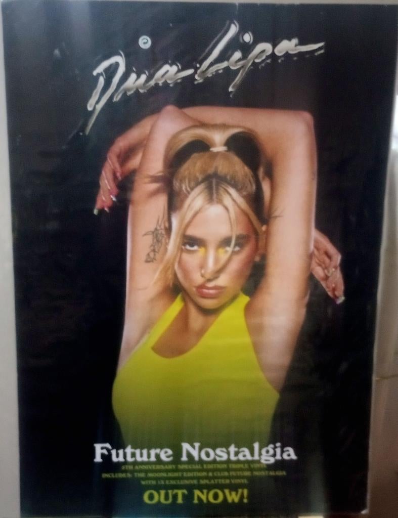 Dua Lipa - Future Nostalgia poster, Ophalen of Verzenden, Zo goed als nieuw, A1 t/m A3, Film en Tv