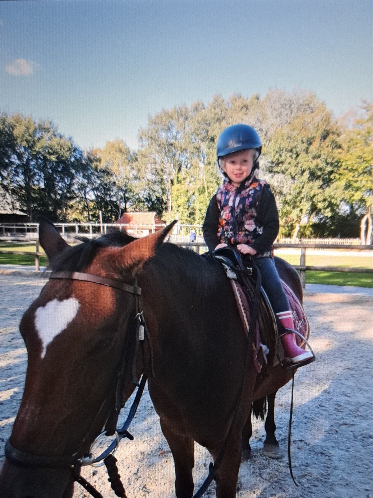 Bijrijd pony gezocht, Dieren en Toebehoren, Ophalen of Verzenden, Nieuw
