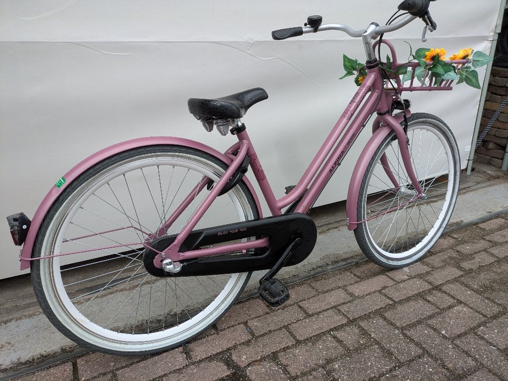 Mooie 26 inch Alpina Mood met 3 versnellingen., Terugtraprem, -, Alpina, -