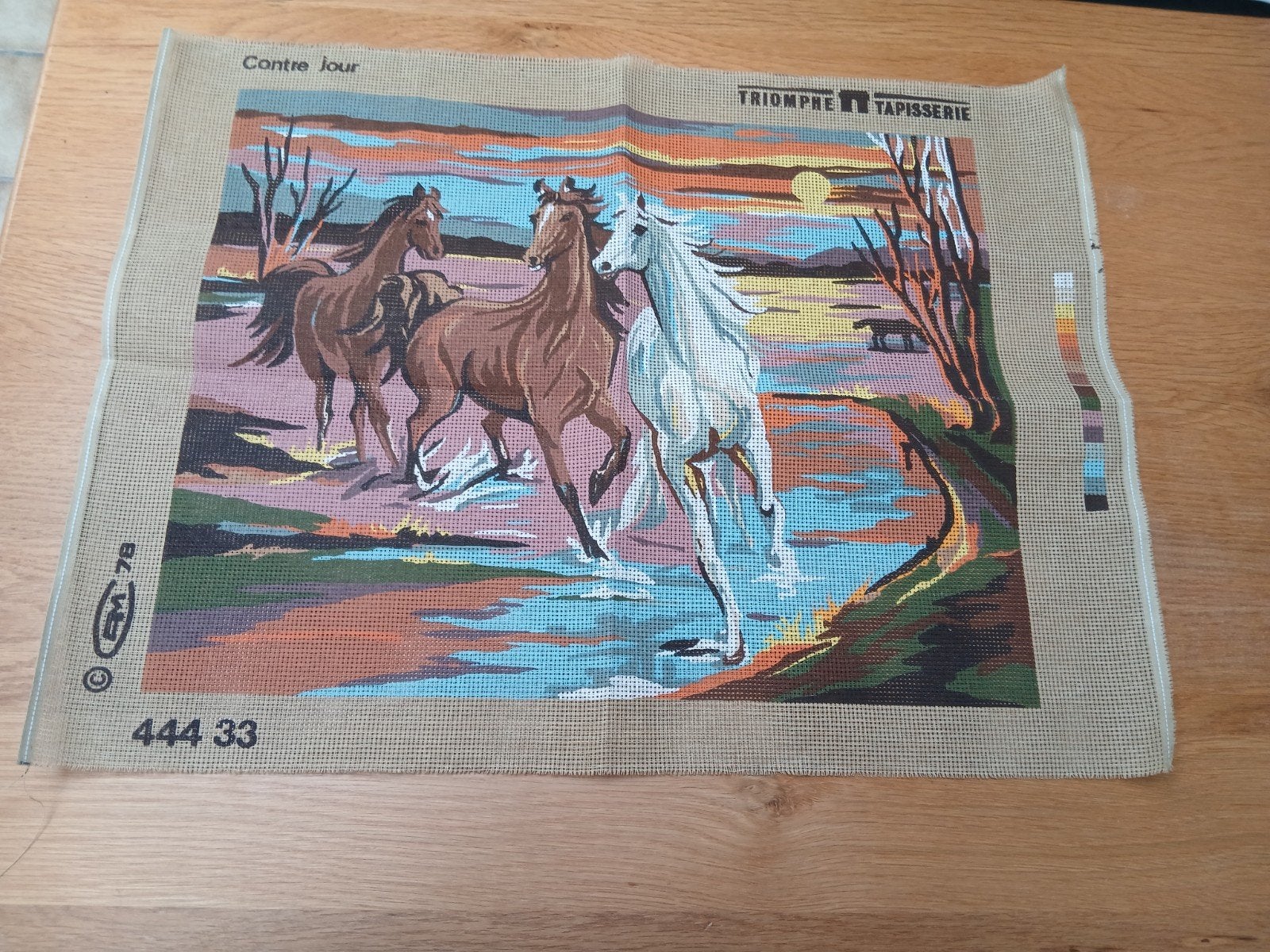 stramien Paarden 47 x 37 cm triomphe tapisserie, Ophalen of Verzenden, Nieuw, Handborduren, Overige typen