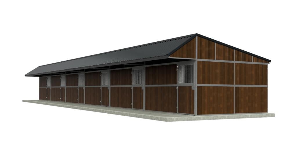 Buitenstal met 6 royale paardenboxen en kapschuurdak, Weidegang, 4 paarden of pony's of meer