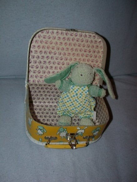 Wie kan helpen: Felicitas konijntje in koffer uit 1998, Konijn, Ophalen of Verzenden, Met kleding of accessoire, Klein (minder dan 20 cm)