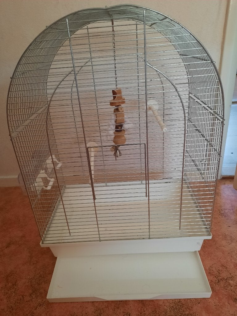 Vogelkooi, Ophalen, Gebruikt, Metaal, Vogelkooi