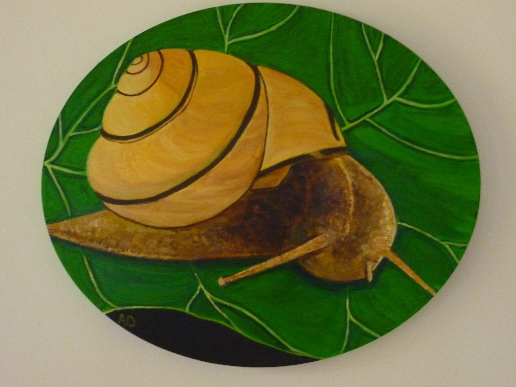 Slak, Acrylverf, Handgeschilderd, Ophalen of Verzenden, Dieren