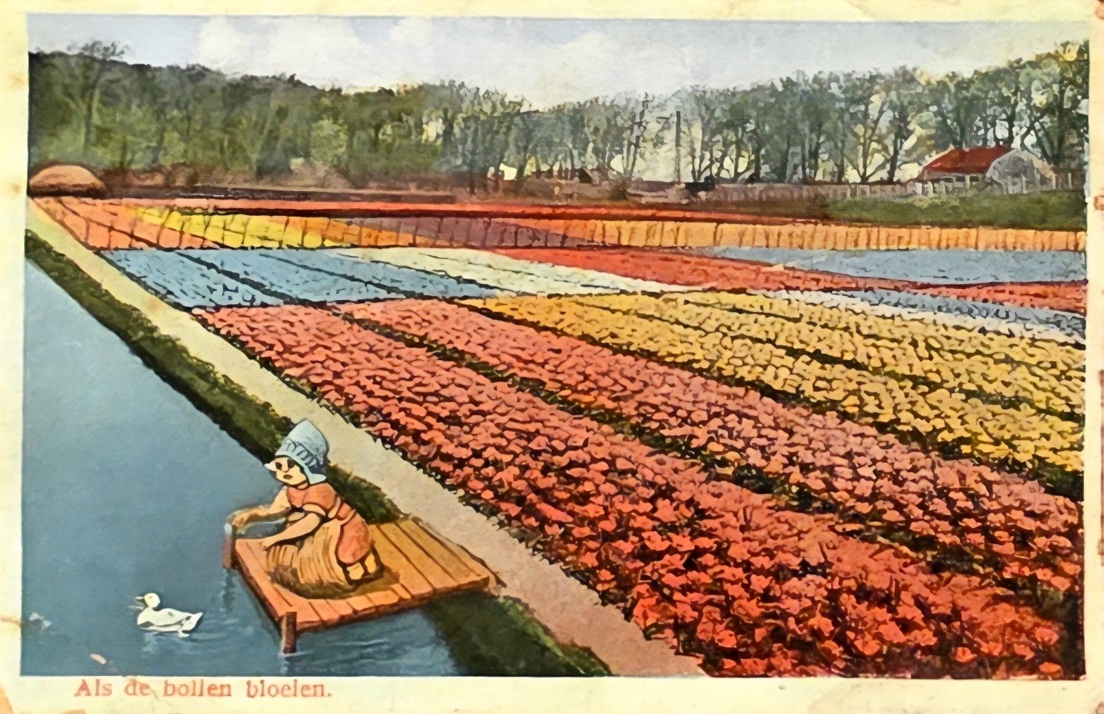 bollenvelden omgeving Haarlem, Ophalen of Verzenden