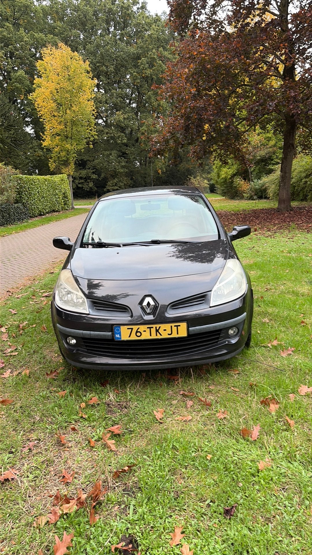 Renault Clio 1.2 16V nieuw apk !, Auto's, Voorwielaandrijving, 535 kg, 74 pk, Beige