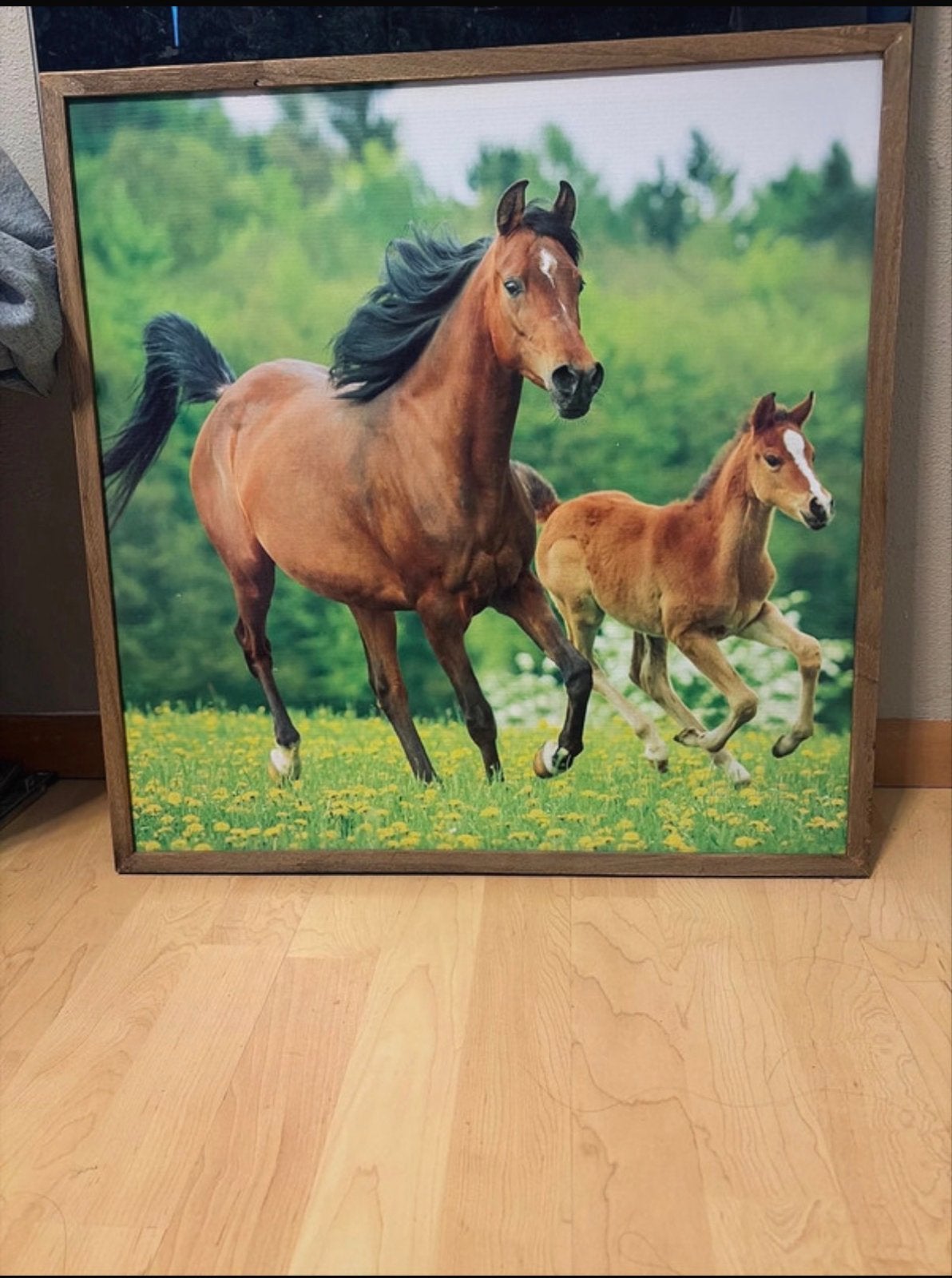 Schilderij met paarden - 58x58 cm, 50 – 75, Gebruikt, Ophalen of Verzenden, Schilderij