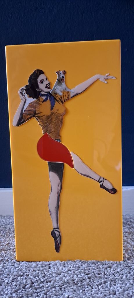 Unieke tissuebox met pin-up design en hondje, Ophalen of Verzenden, Zo goed als nieuw