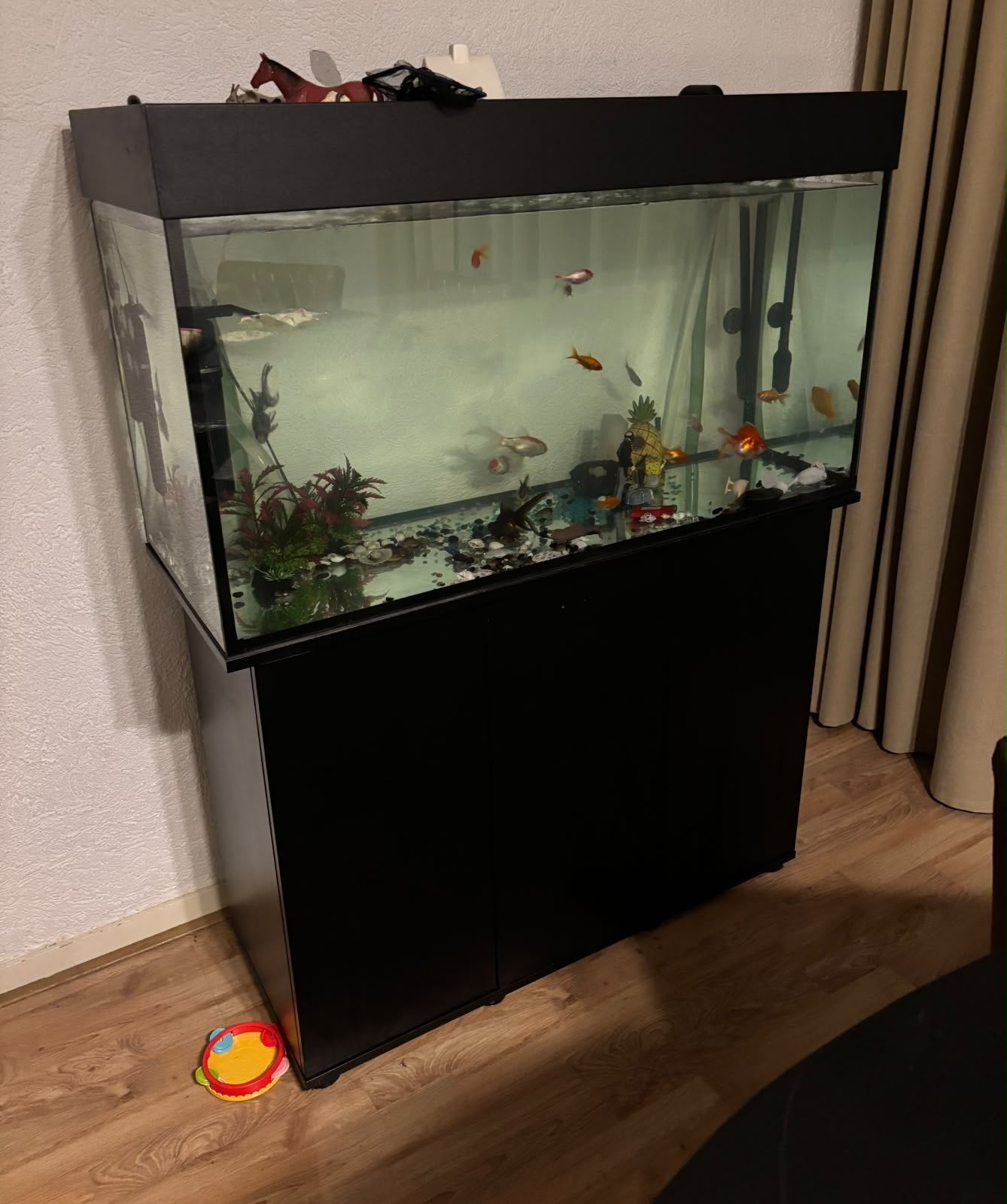 Aquarium (COMPLEET), Ophalen, Pomp, Nieuw, Aquariummeubel