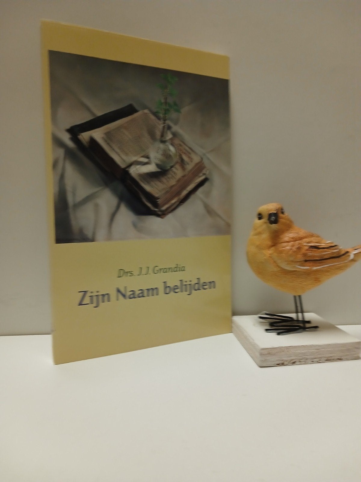 Grandia, Drs. J.J.; Zijn Naam belijden, Ophalen of Verzenden, Gelezen, Christendom | Protestants