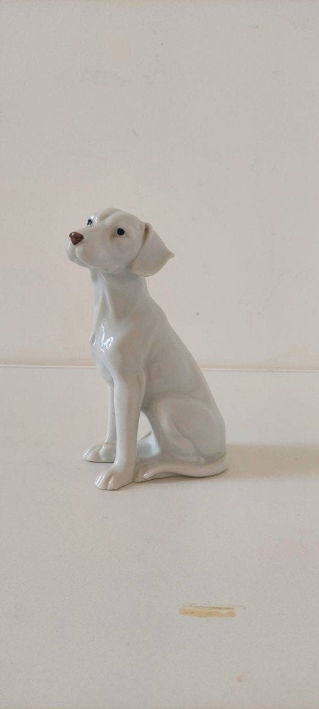 Vintage porseleinen hond beeldje 20 cm – Mid-Century Design, Ophalen of Verzenden, Zo goed als nieuw, Dier
