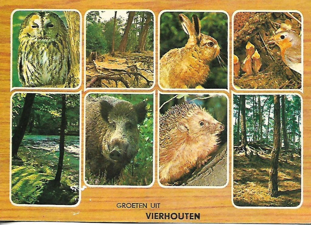 Vierhouten- -8-luik., Verzenden, 1960 tot 1980, Gelopen, Gelderland