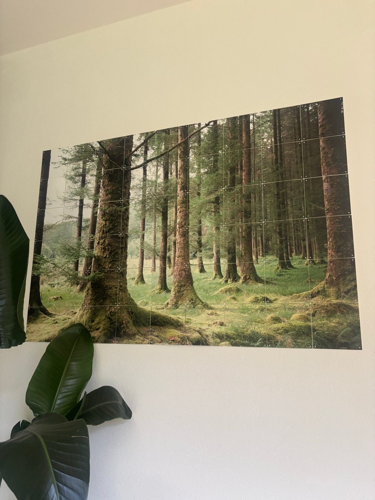 IXXI wanddecoratie bos - Zo goed als nieuw, Ophalen, Groen, Zo goed als nieuw, Wandbord of Wandpaneel