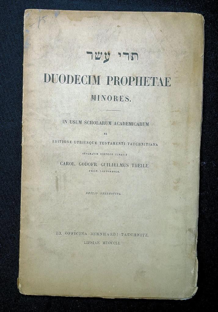 Duodecim Prophetae Minores 1851 Theile - Hebreeuws, Ophalen of Verzenden