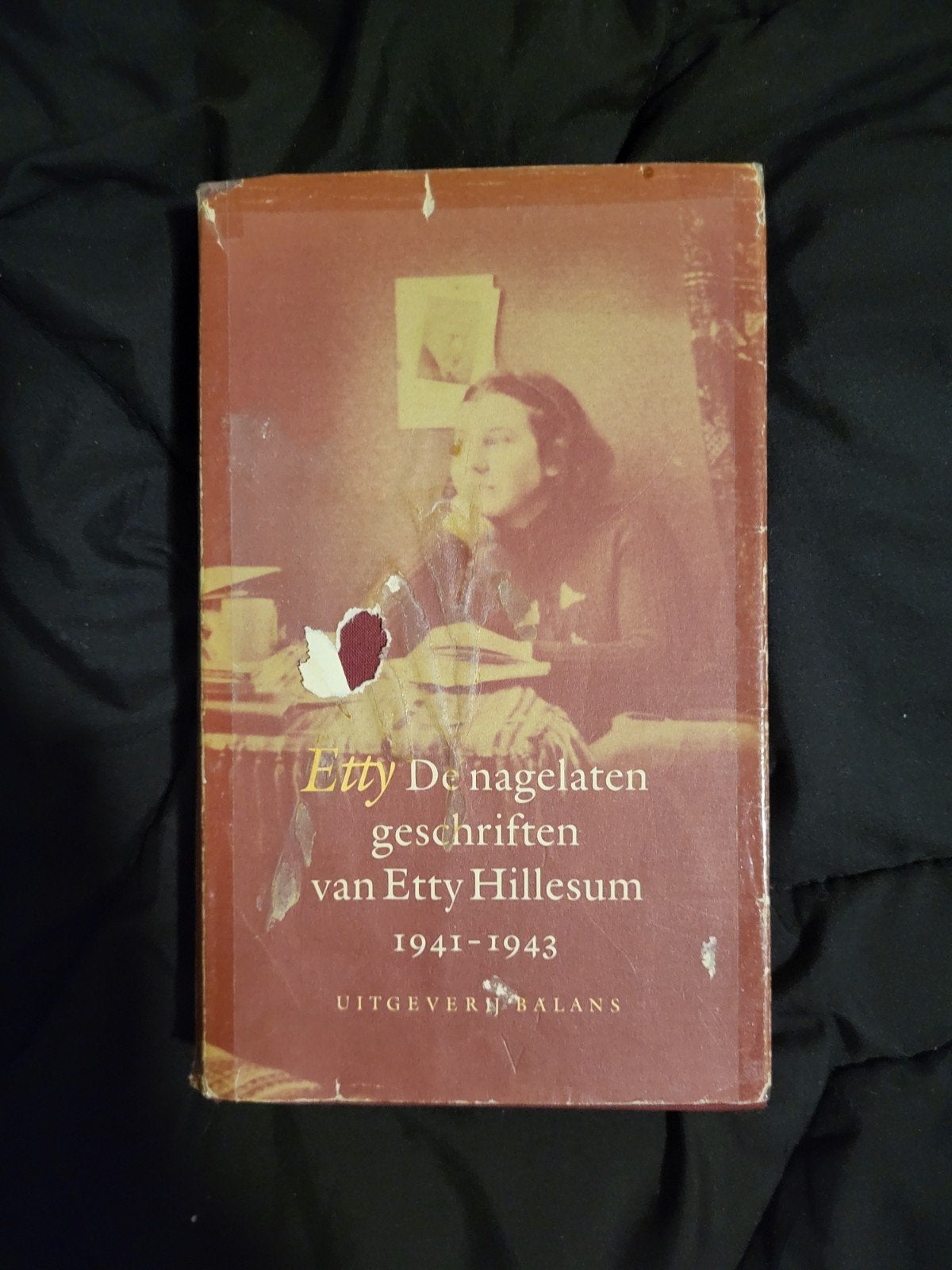 De nagelaten geschriften van Etty Hillesum 1941-1943, Ophalen of Verzenden