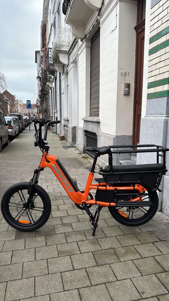 longtail cargo fiets 1500W, Ophalen of Verzenden, Overige merken