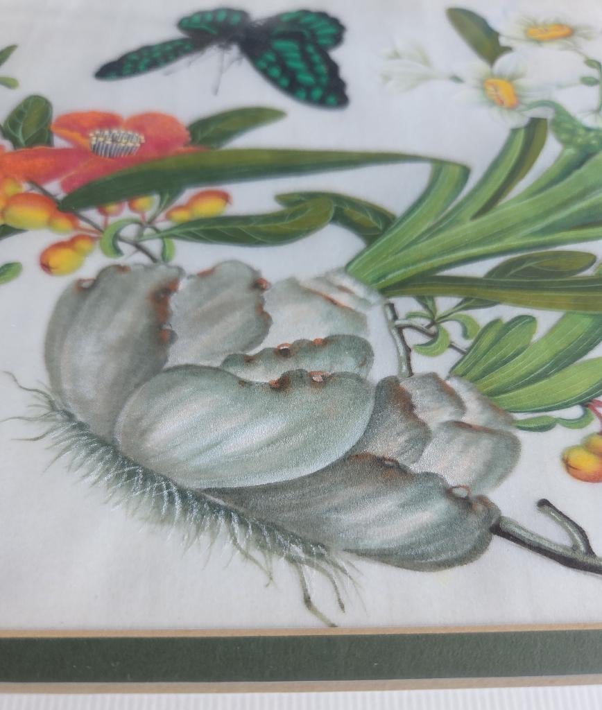 Antiek chinees schilderij rijstpapier bloemen vlinders China, Antiek en Kunst, Ophalen of Verzenden