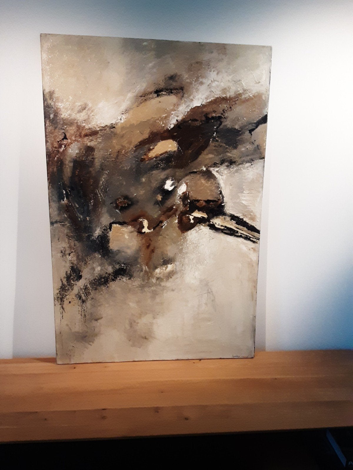 vogelvlucht  lydian noordhoek., Ophalen