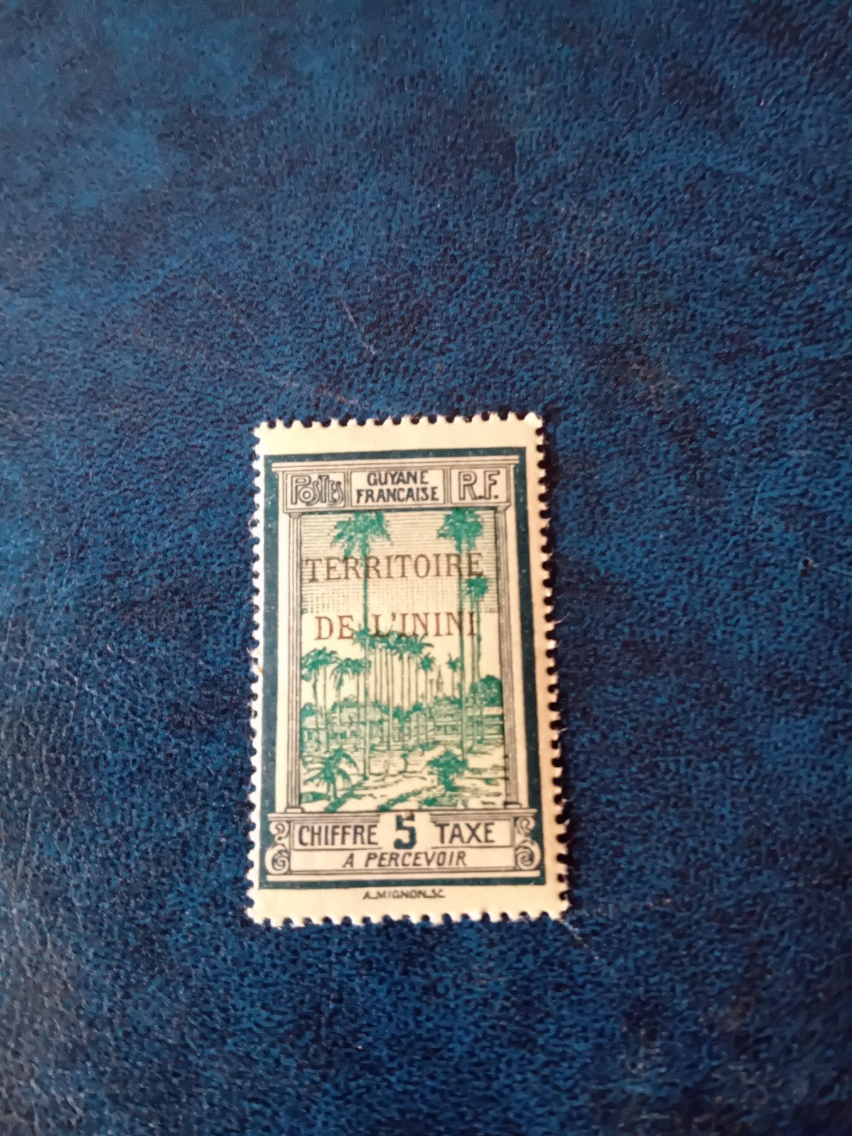 Zeldzame postzegel Frans-Guyana 5 centimes belasting, Ophalen of Verzenden, Postfris