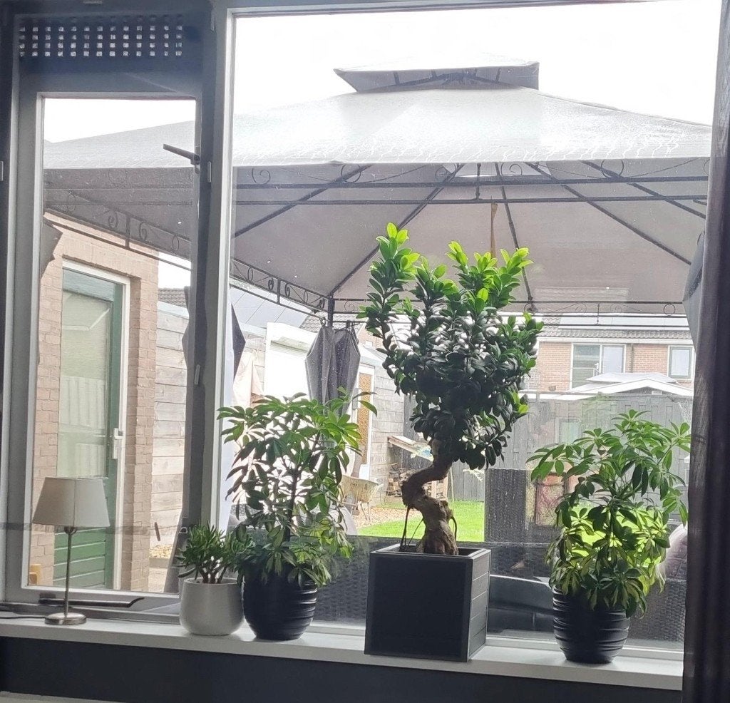 Partytent, Tuin en Terras, Partytenten, Ophalen, Gebruikt, Partytent, Minder dan 4 meter