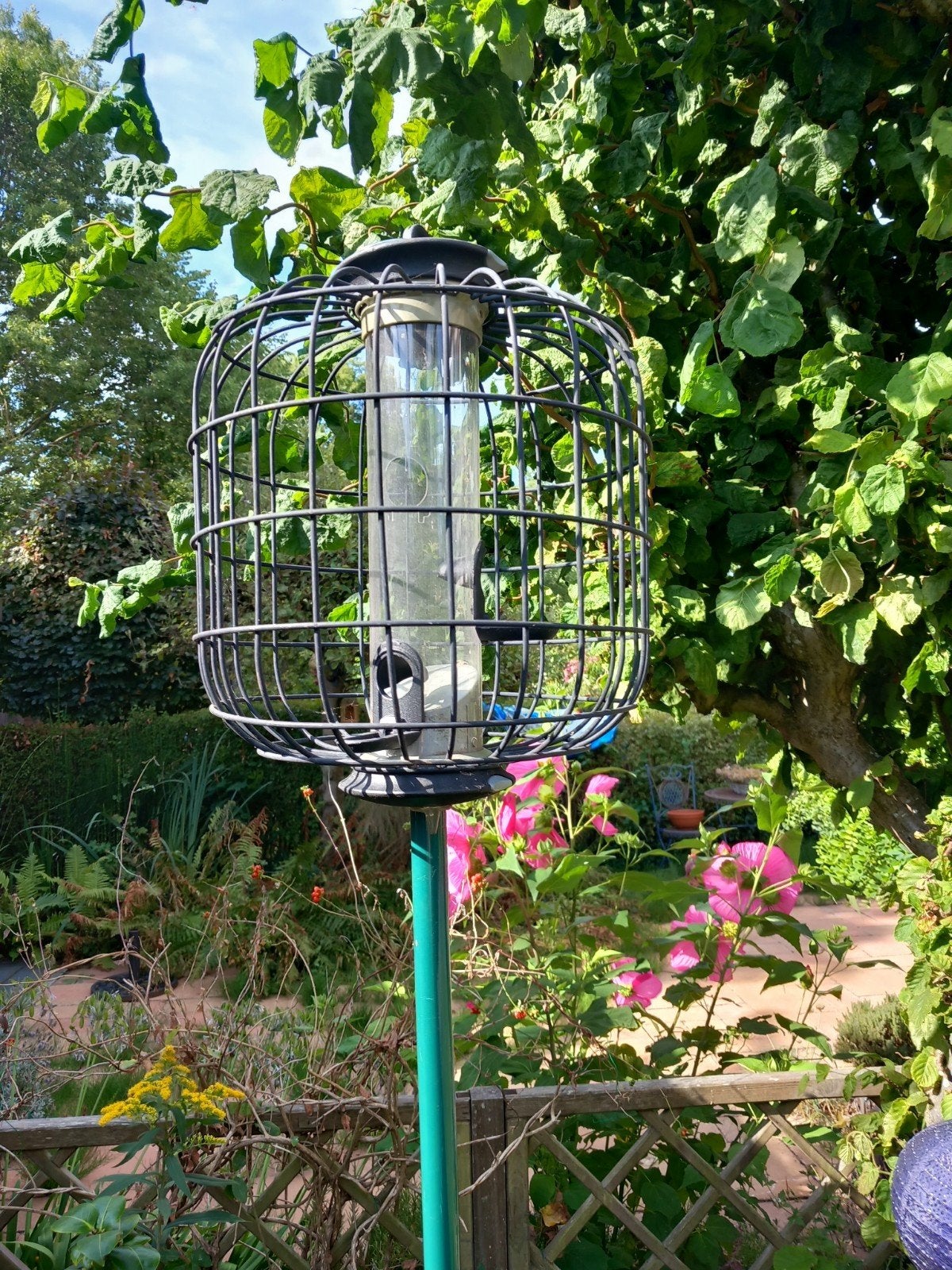 Vogel voederbak, Ophalen, Gebruikt